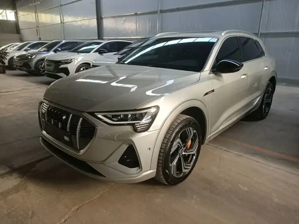 Audi e-tron 50 quattro Exclusive Selection 2024