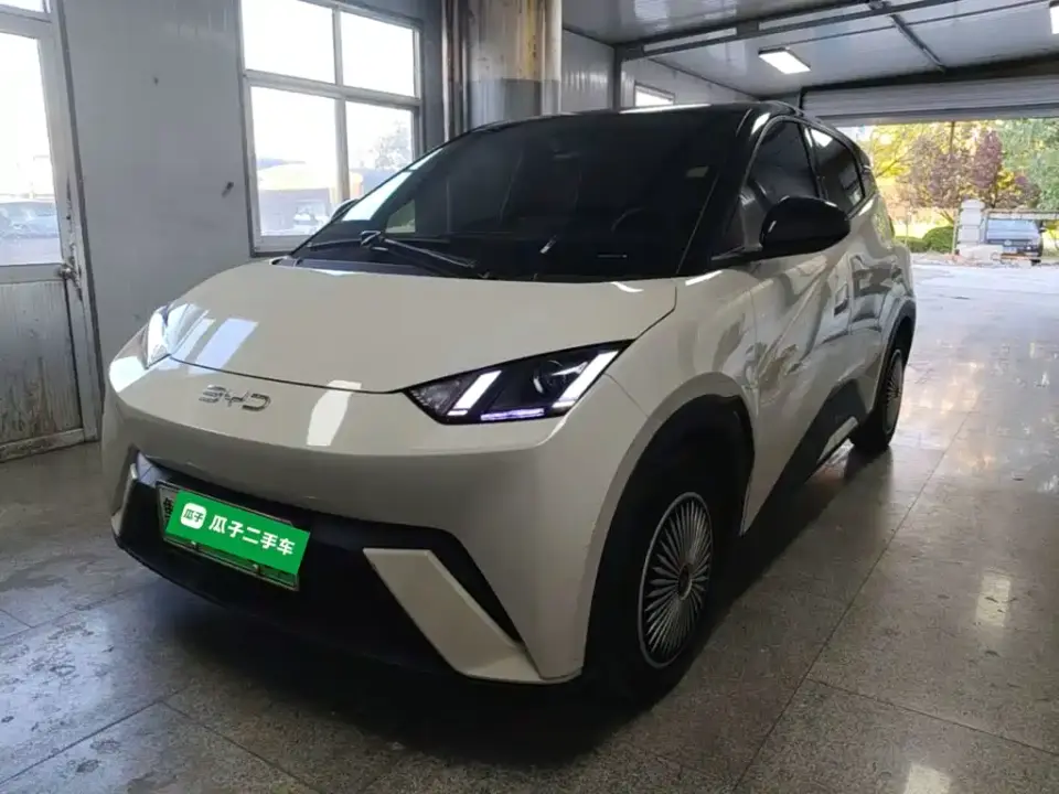 BYD Seagull Glory Edition 305km Vitality Edition 2024