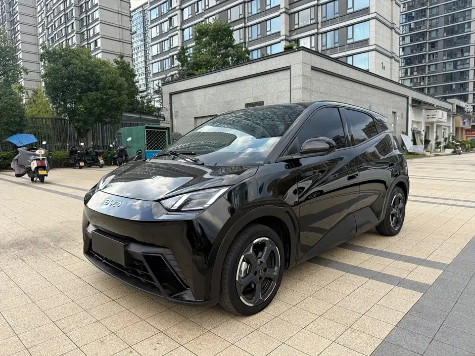 BYD Seagull Flying Edition 2023