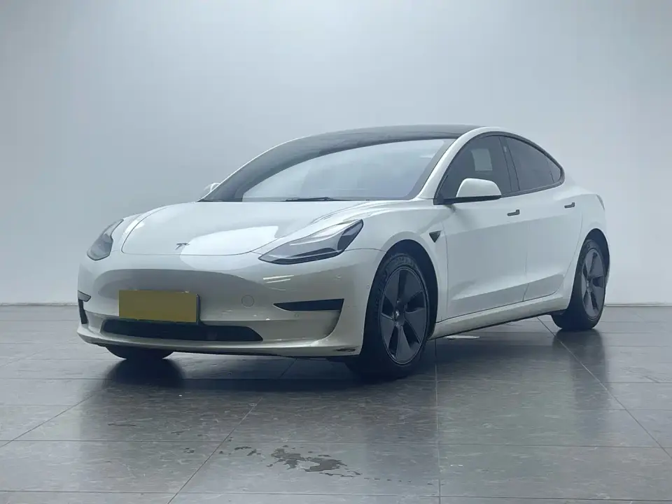 Tesla Model 3 Standard Range Rear-Wheel Drive Upgrade 3D6 2022
