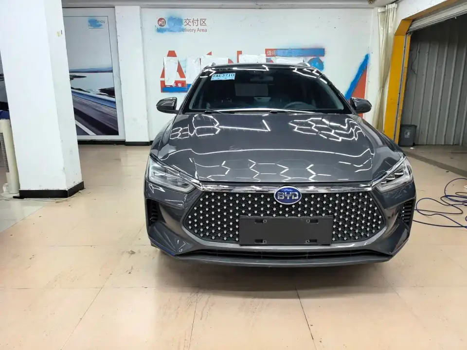 BYD e2 Upgraded Long Range Luxury 2020