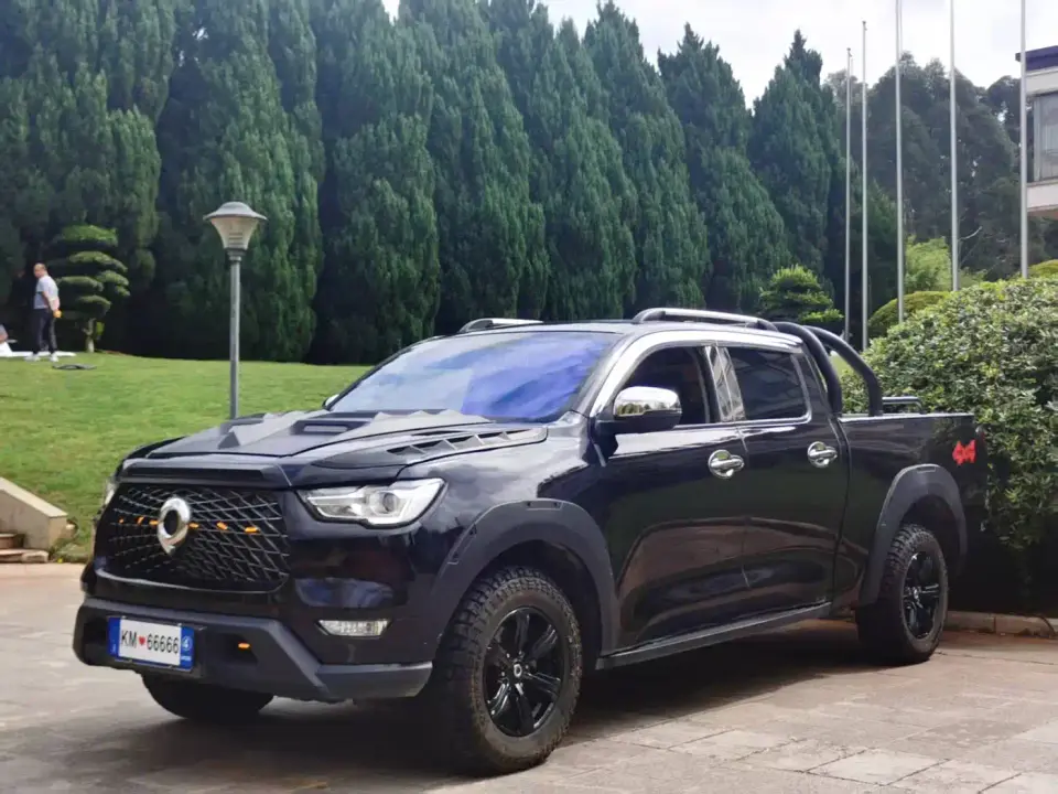 Great Wall Pao 2.0T Commercial Edition Manual Diesel 4WD Elite Long Box GW4D20M 2021