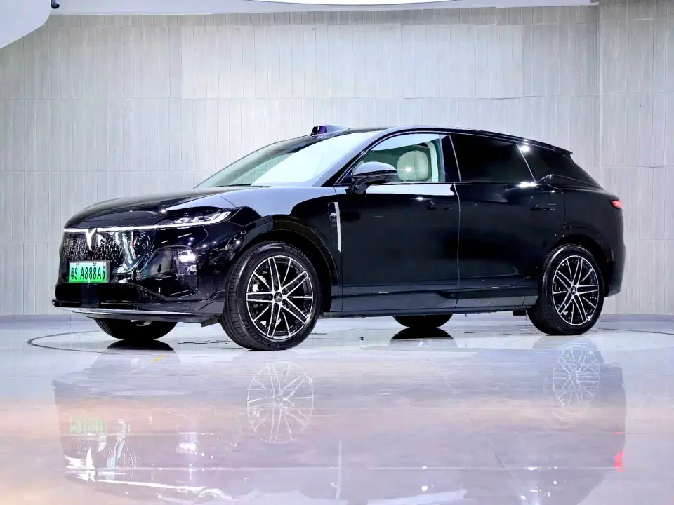 Voyah Auto Voyah Zhiyin Base 2025