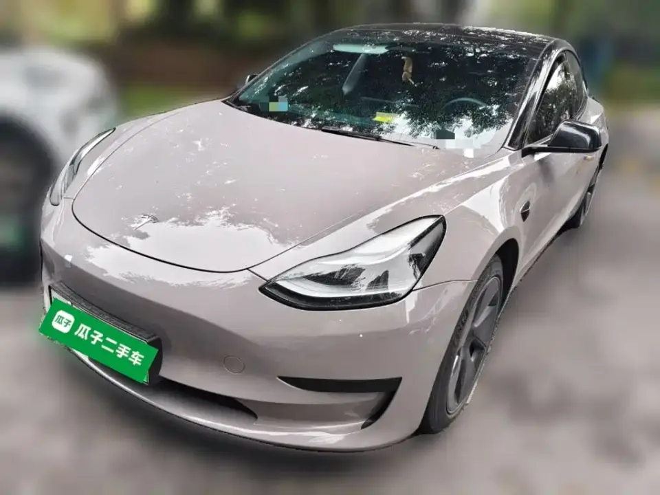 Tesla Model 3 Model Rear-Wheel Drive Version 2022