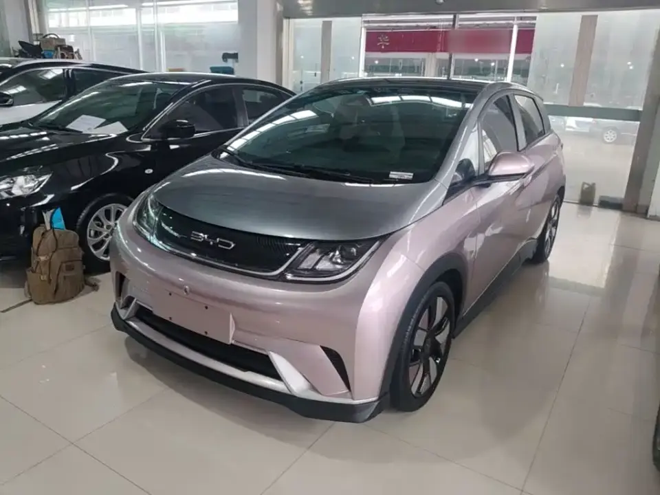 BYD Dolphin 401km Knight Edition 2022