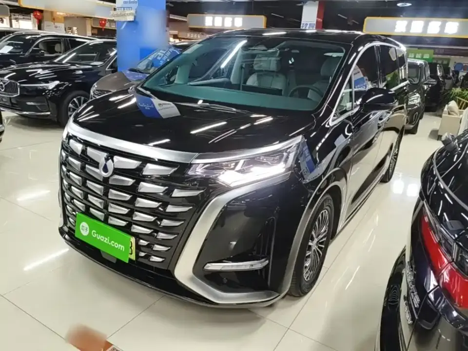 Denza D9 DM-i 1040 Premium 2024