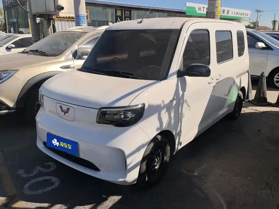 Wuling Motors Wuling Zhiguang NEV Standard Version 2025