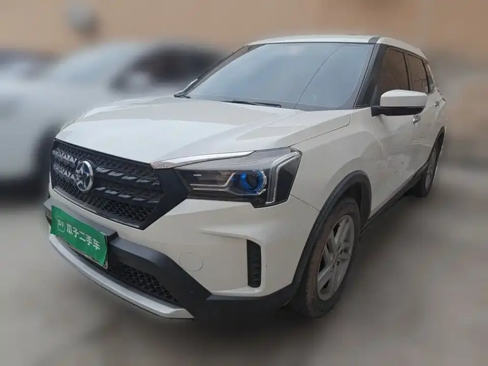 Venucia T60 Model 1.6L CVT Zhixing Edition China VI 2020