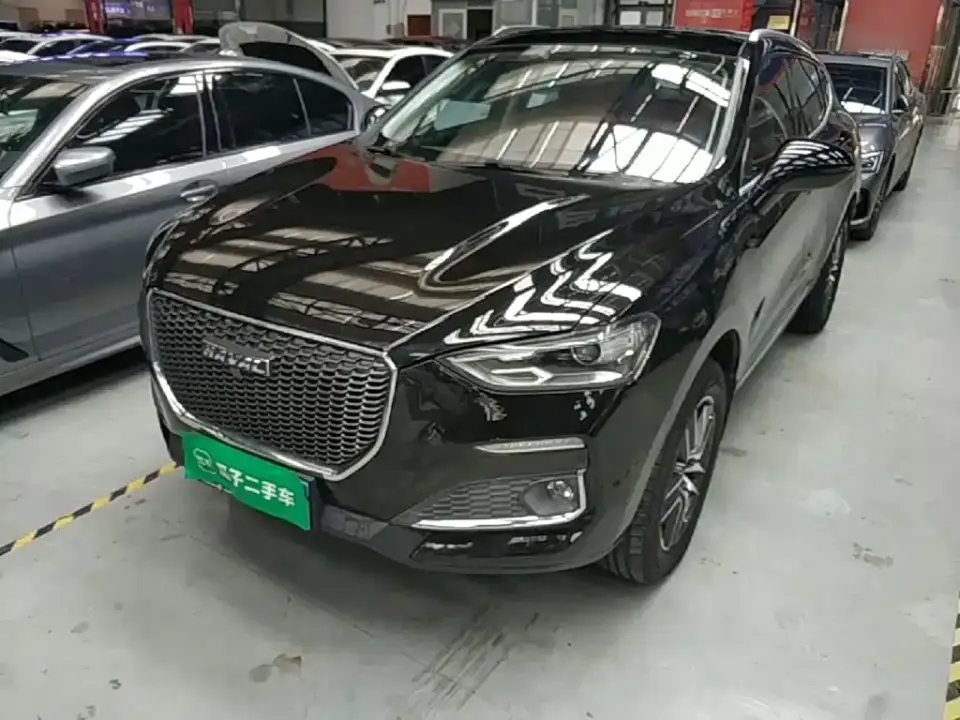 Haval F5 National Trend Edition 1.5T iStyle China VI 2019