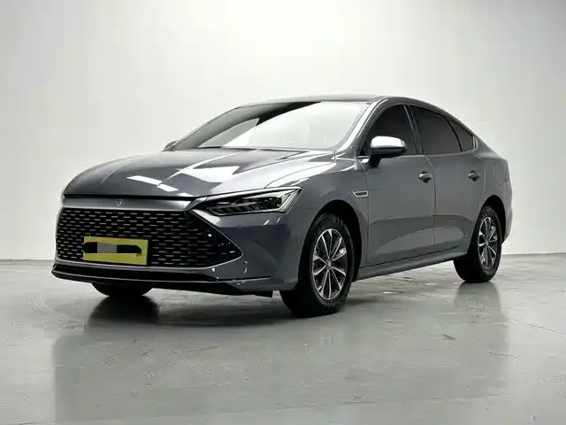 BYD Qin PLUS Glory Edition DM-i 55KM Leading 2024
