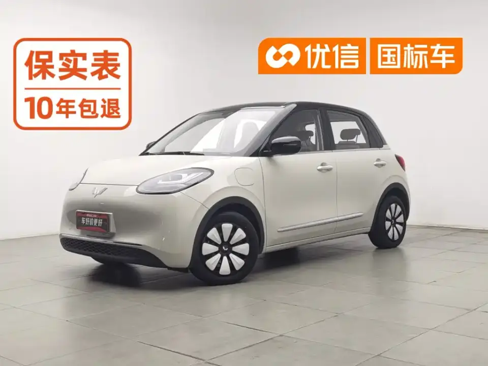 Wuling Motors Wuling Bingo 333km Smart Connect Edition 2024