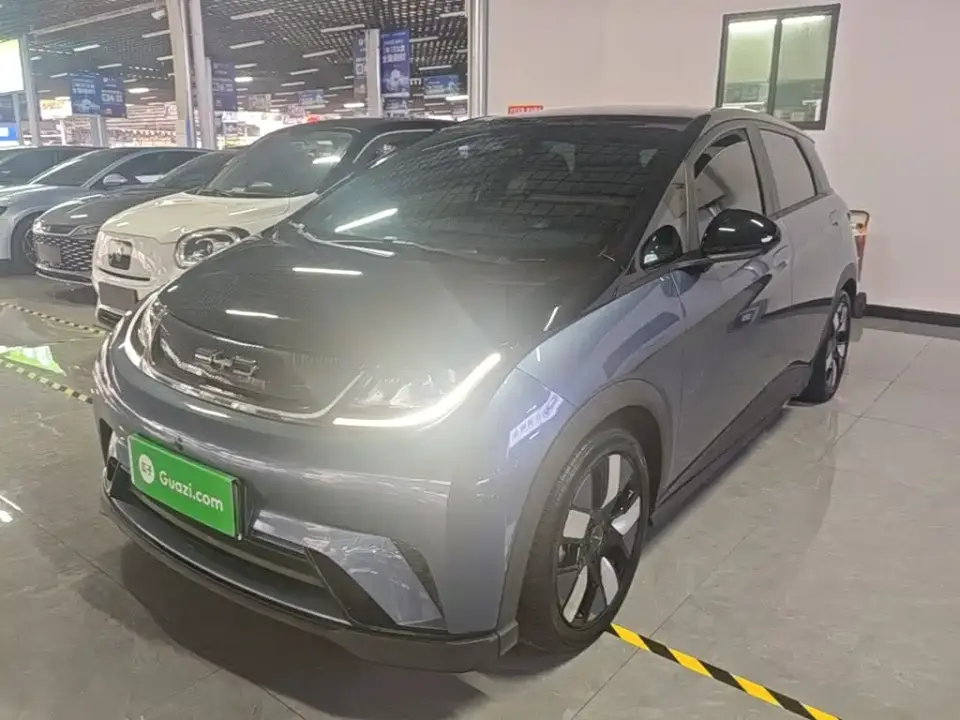 BYD Dolphin 401km Knight Edition 2023