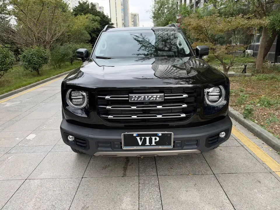 Haval Big Dog 1.5T DCT 2WD Border Collie Edition 2021