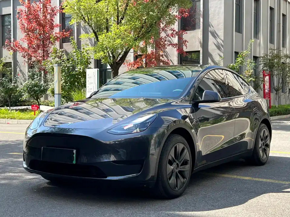 Tesla Model Y Rear-Wheel Drive Version 2024