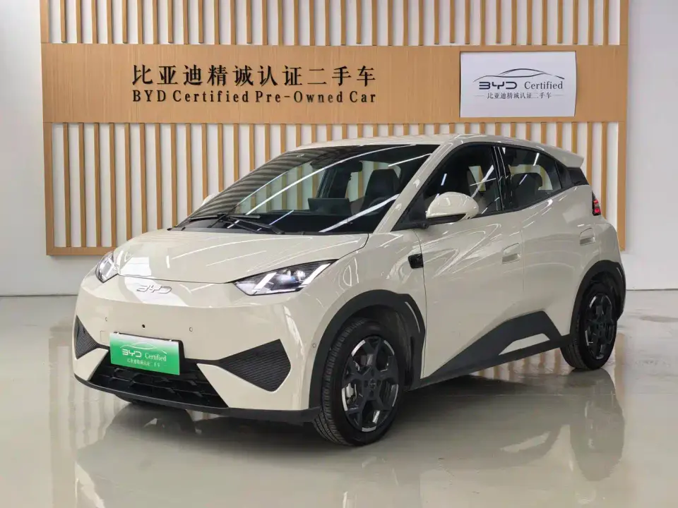 BYD Seagull 305km Freedom 2025