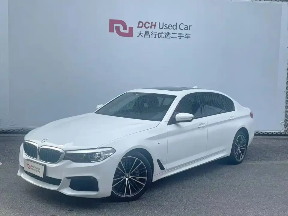 BMW 5 Series 530Li Leading M Sport Package 2019