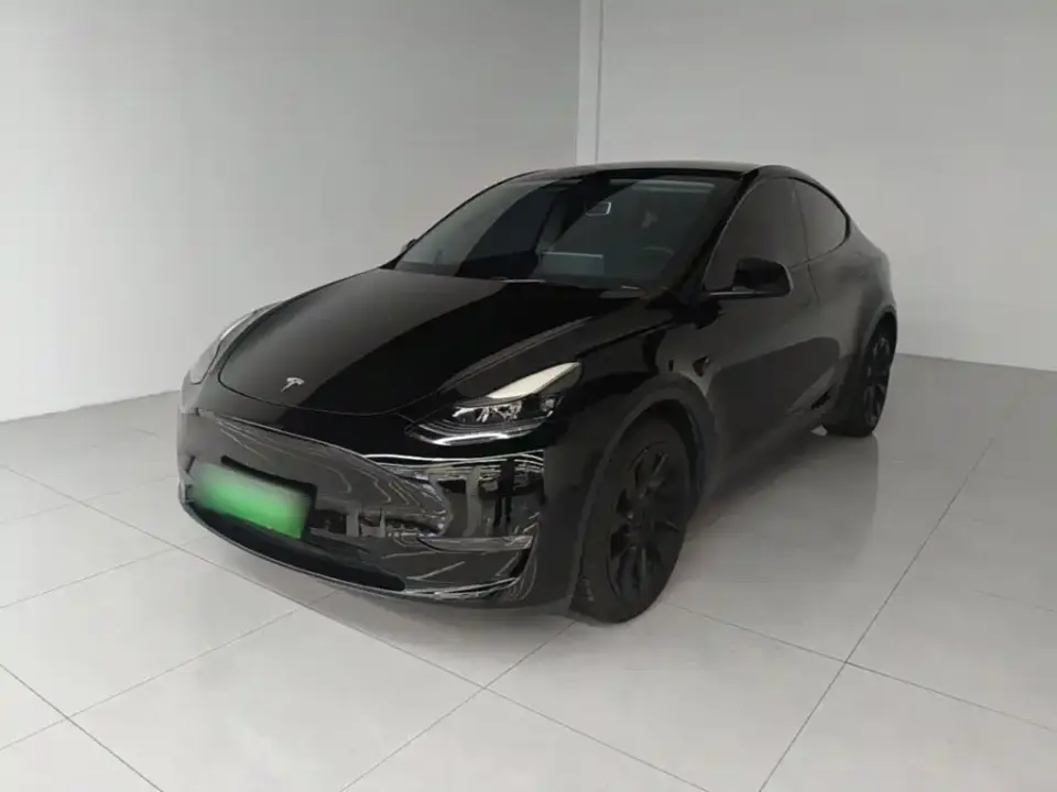 Tesla Model Y Standard Range Rear-Wheel Drive 2021