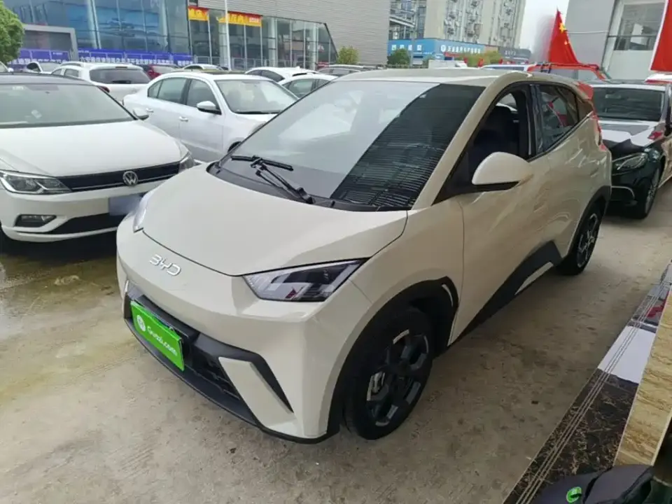 BYD Seagull Glory Edition 305km Freedom Edition 2025