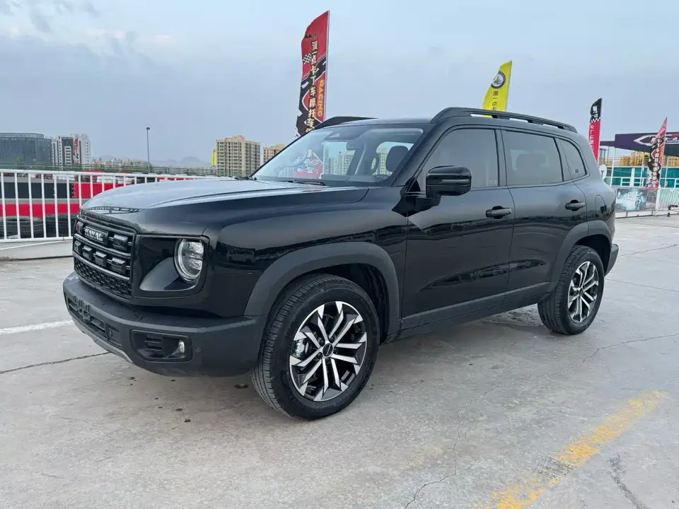 Haval Big Dog 2.0T DCT Chinese Rural Dog Edition 2025