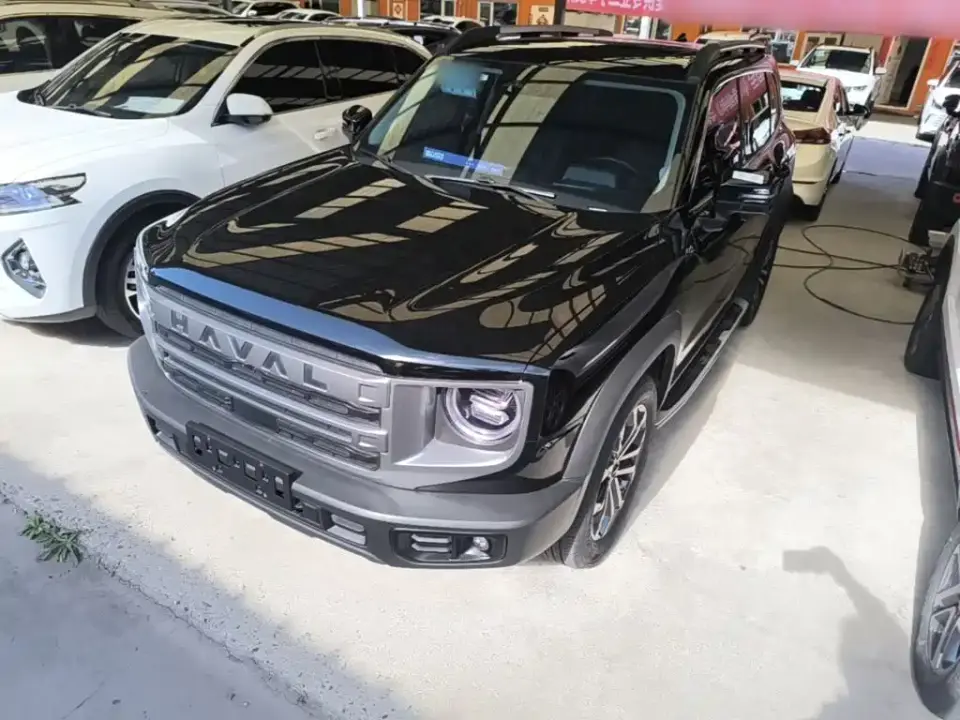 Haval Big Dog 1.5T DCT Border Collie Edition 2024