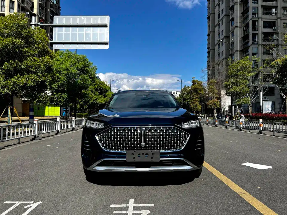 Wey Mocha 2.0T 2WD Extra Rich Edition 2022