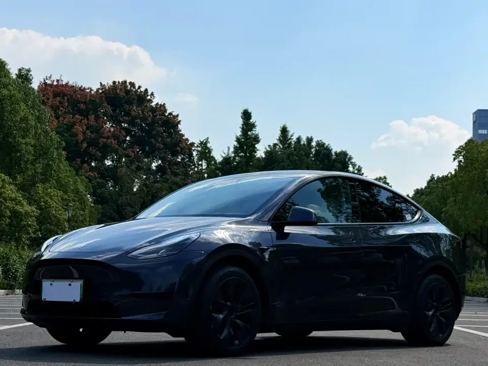 Tesla Model Y Rear-Wheel Drive Version 2024