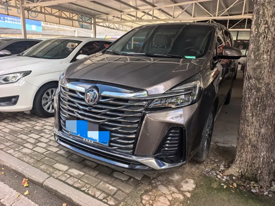 Buick GL8 Land Business Class 652T Luxury 2024