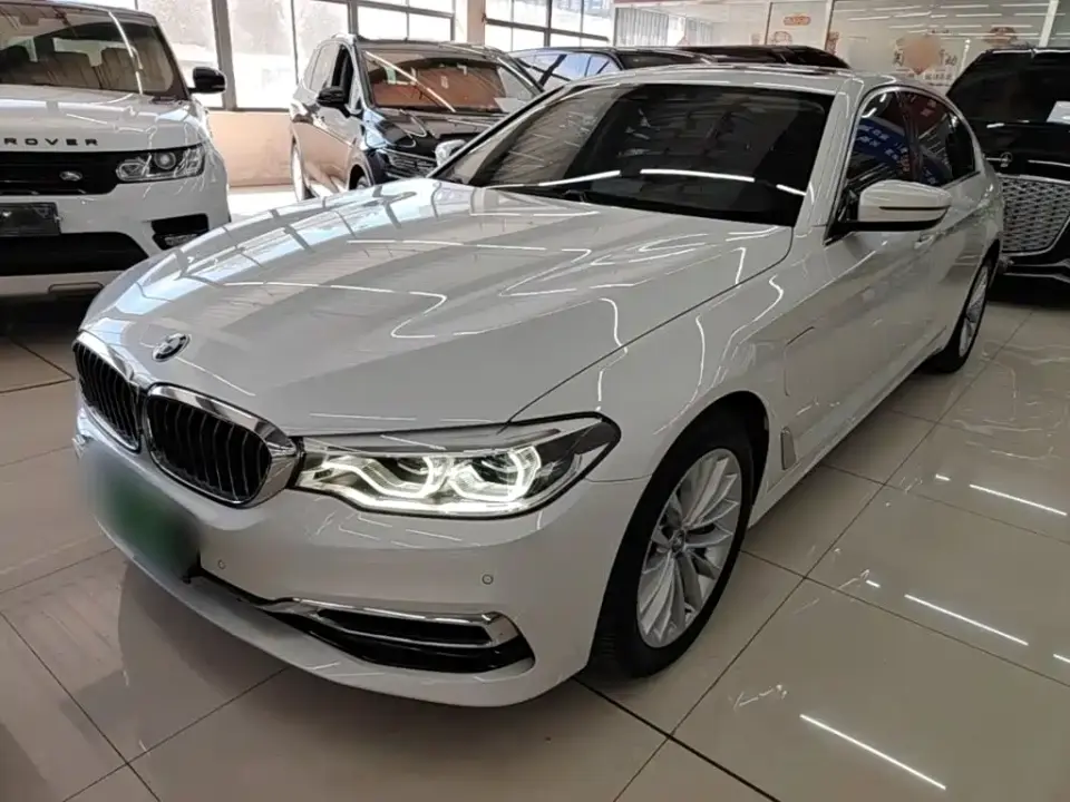 BMW 5 Series New Energy 530Le Luxury Package 2019