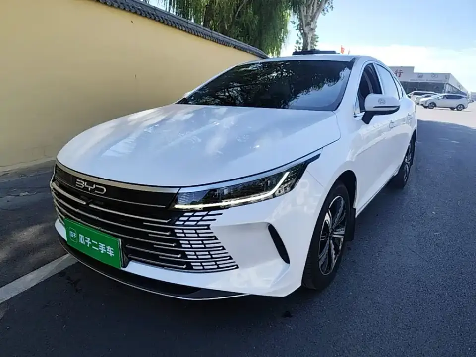 BYD Destroyer 05 Model Champion Edition DM-i 120KM Luxury 2024