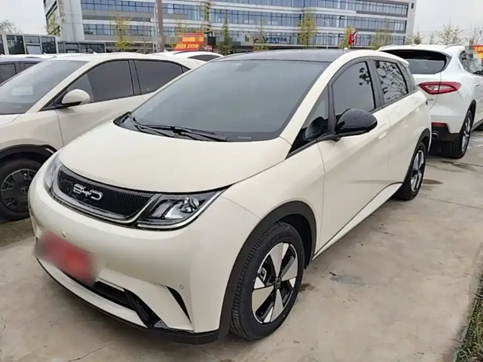 BYD Dolphin 420km Fashion Edition 2024