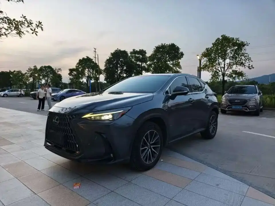 Lexus NX 260 FWD Joy Creation Edition 2022