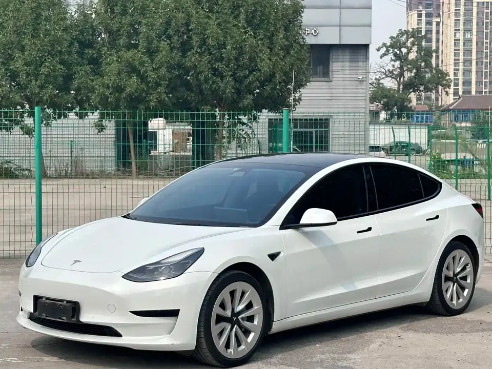 Tesla Model 3 Standard Range Rear-Wheel Drive Upgrade 3D6 2021