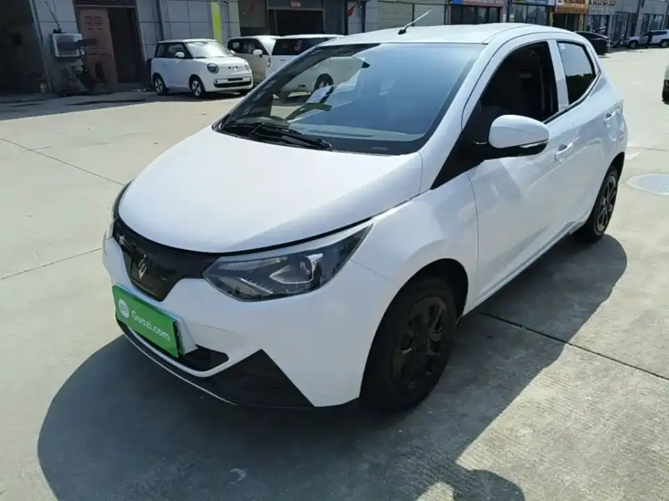 JMCG New Energy Little Kirin Model Lucky Edition 201km Comfort 2023