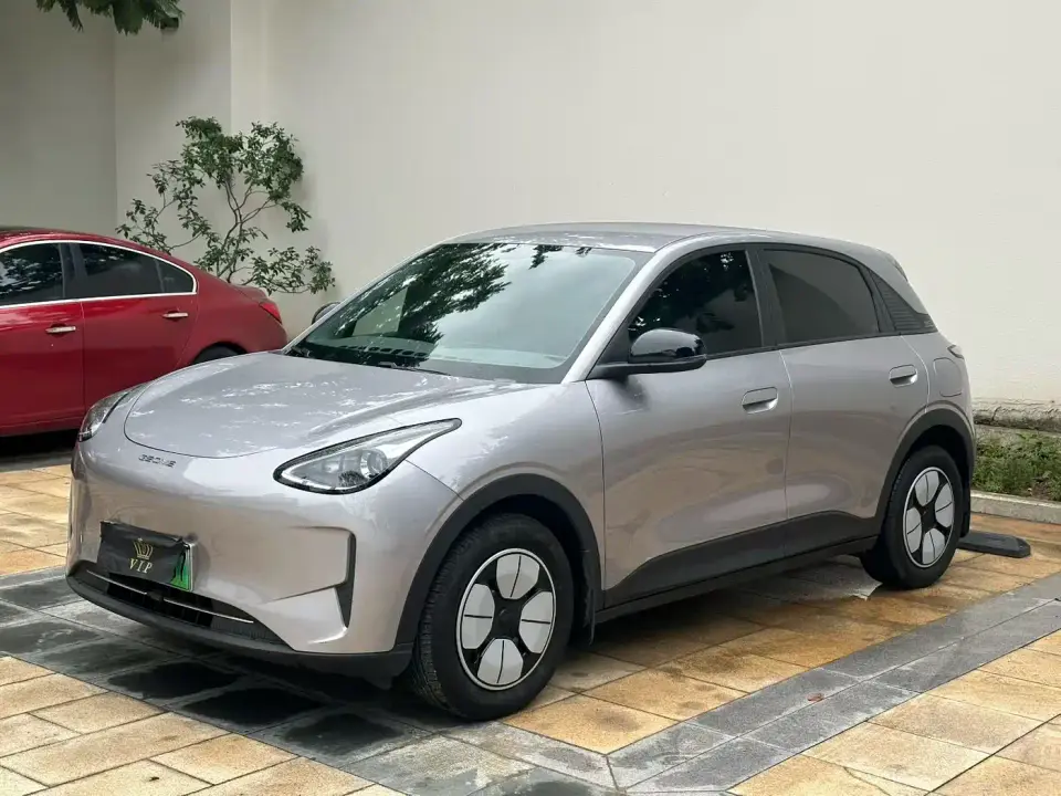 Geely Galaxy Starry Wish 310km Youth Edition 2024