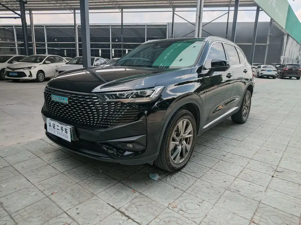 Haval H6 New Energy DHT-PHEV 55KM Joy Ride Edition 2023