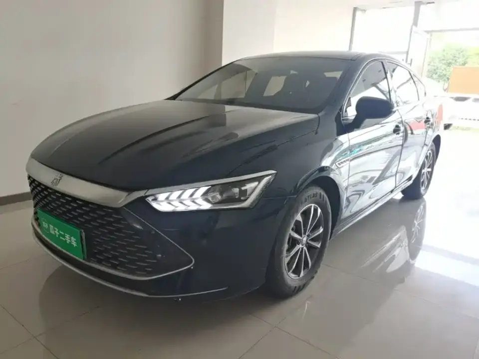 BYD Qin PLUS Glory Edition DM-i 55KM Leading 2024