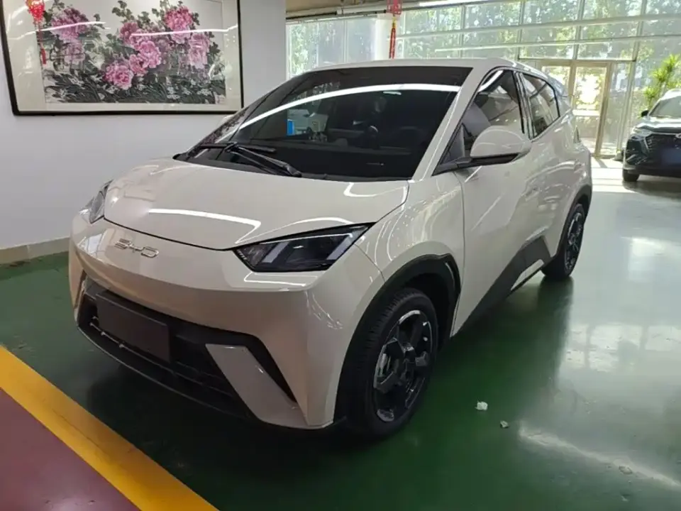 BYD Seagull Freedom Edition 2023