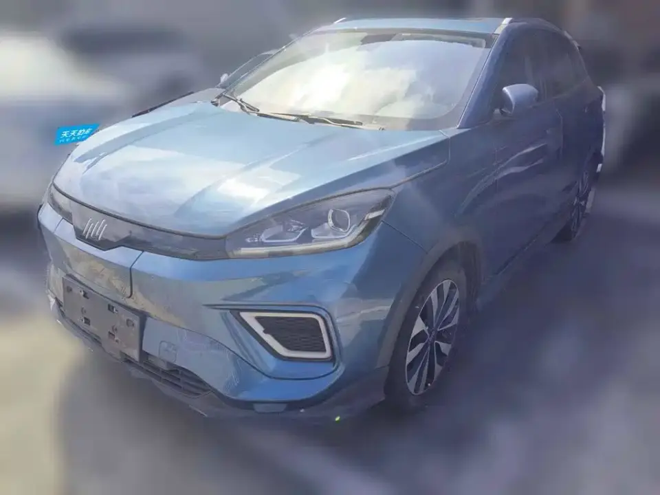 Weltmeister EX5 EX5-Z Fun Dynamic Edition 2020