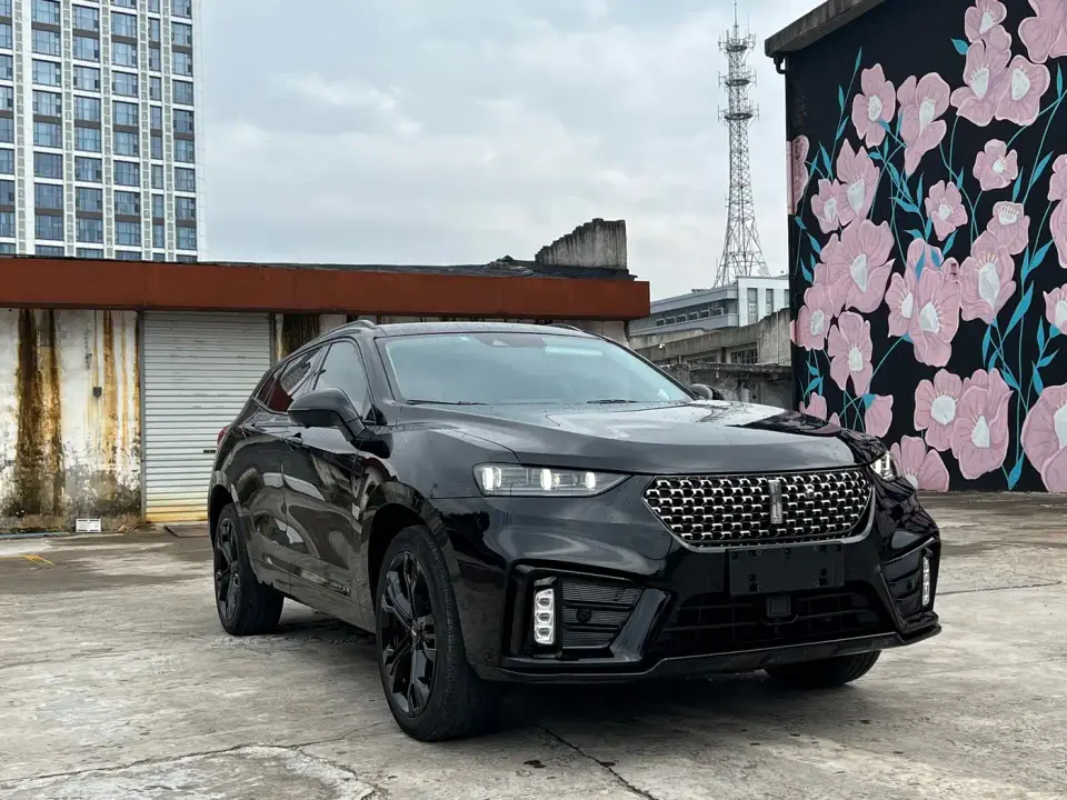 Wey VV7 Model 2.0T Technology Edition 2021