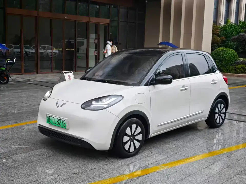Wuling Motors Wuling Bingo Model 333km Joy+ Version 2023