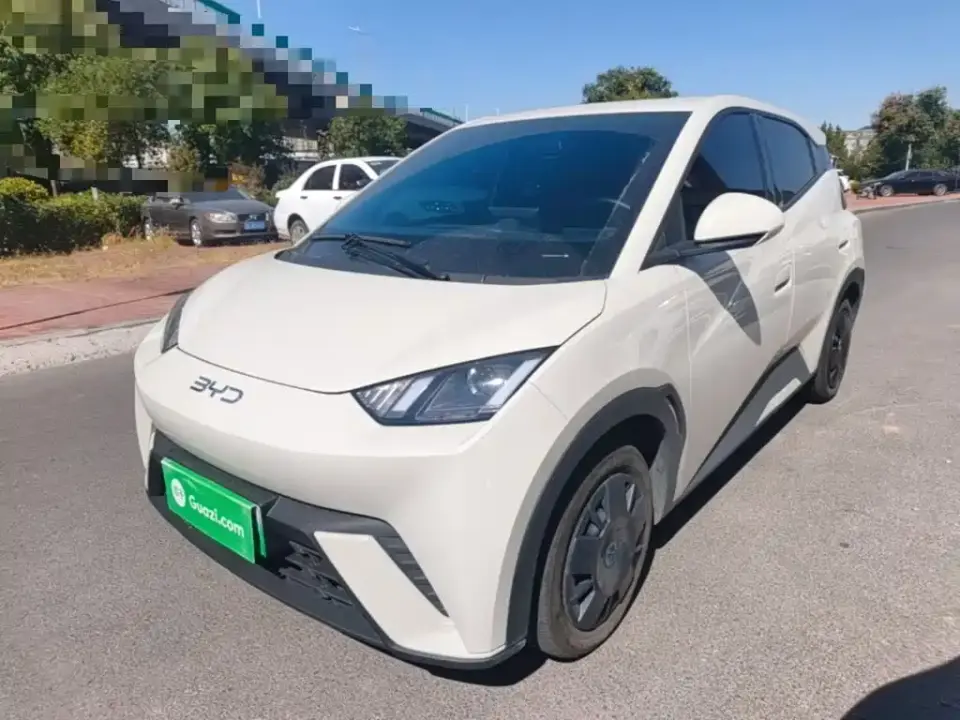 BYD Seagull Glory Edition 305km Vitality Edition 2024
