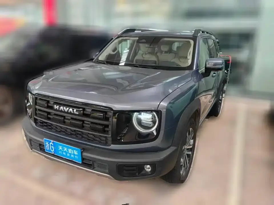 Haval Big Dog 1.5T DCT Border Collie Edition 2025