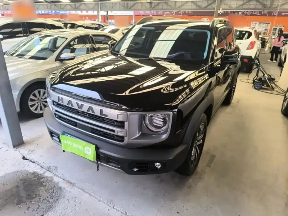 Haval Big Dog 1.5T DCT Border Collie Edition 2025