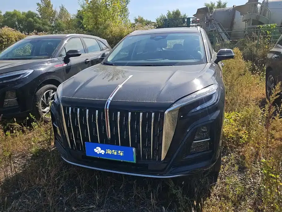 Hongqi HS3 PHEV PHEV 115km Power Edition 2025