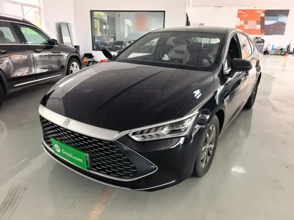BYD Qin PLUS Champion Edition DM-i 55KM Leading 2023
