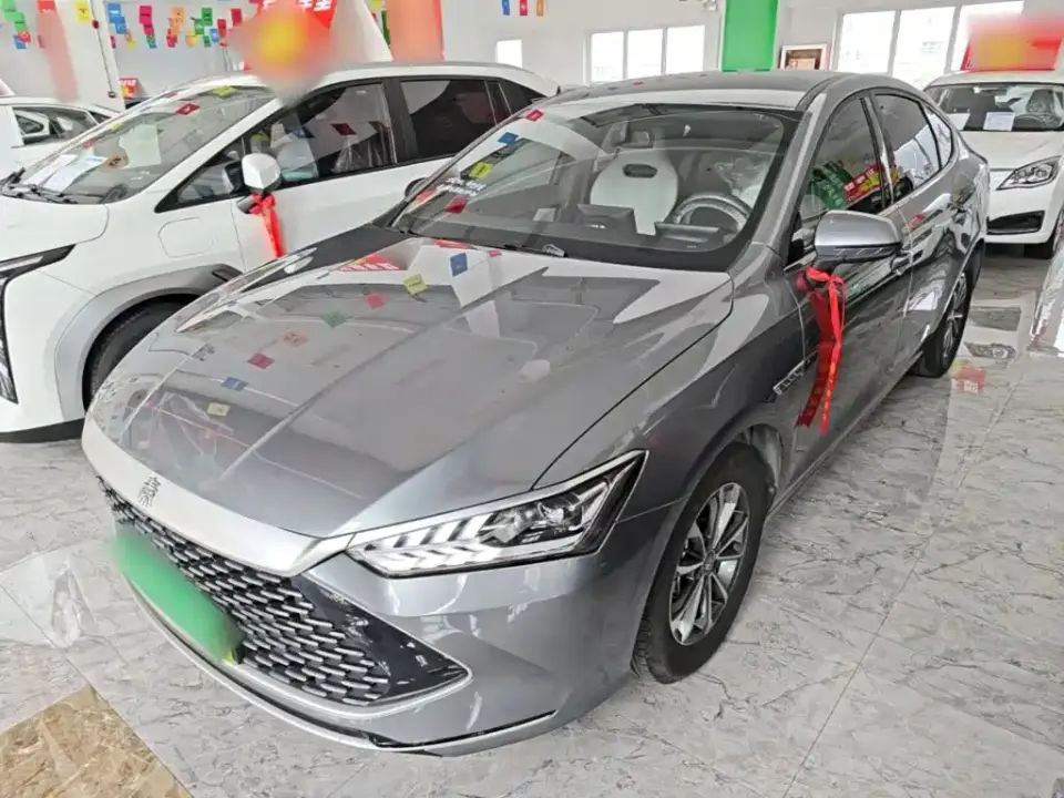 BYD Qin PLUS Champion Edition DM-i 55KM Leading 2024