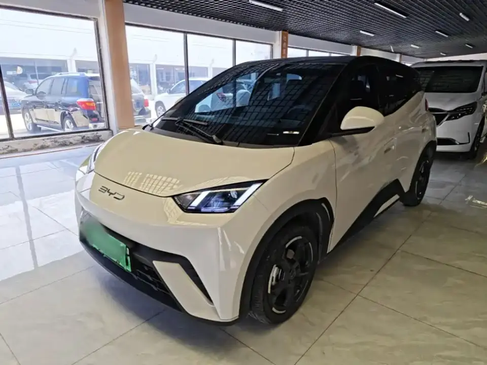 BYD Seagull Freedom Edition 2024
