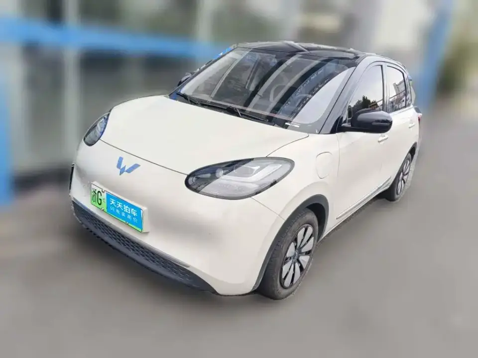 Wuling Motors Wuling Bingo 333km Comfort Edition 2024