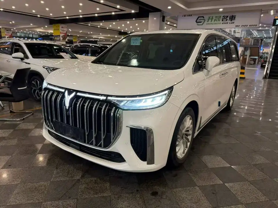 Voyah Auto Voyah Dreamer Low-carbon Edition Think+Smart Driving Package 2023
