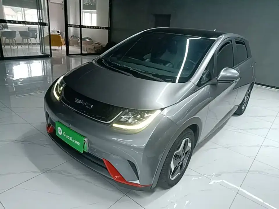 BYD Dolphin Model 405km Fashion Edition 2022